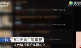 91仓本c仔直播下载